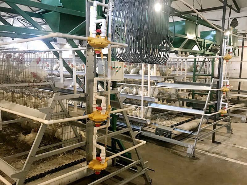 階梯式自動化養殖設備